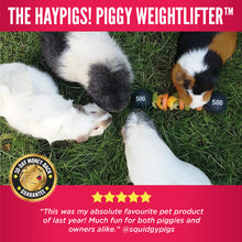 Load image into Gallery viewer, HayPigs!® Piggy Weightlifter™ - Vegetable Kebab Maker - Pets Fayre