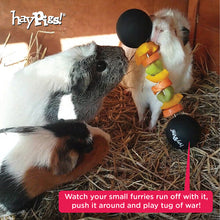 Load image into Gallery viewer, HayPigs!® Piggy Weightlifter™ - Vegetable Kebab Maker - Pets Fayre