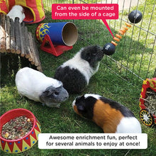 Load image into Gallery viewer, HayPigs!® Piggy Weightlifter™ - Vegetable Kebab Maker - Pets Fayre