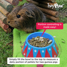 Load image into Gallery viewer, HayPigs!® Junior Food Tamer™ - Mini Food Bowl - Pets Fayre