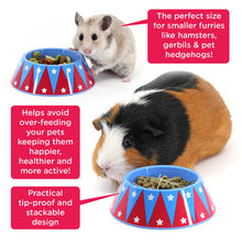 Load image into Gallery viewer, HayPigs!® Junior Food Tamer™ - Mini Food Bowl - Pets Fayre