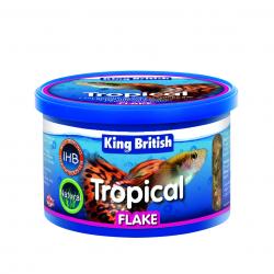 King British Tropical Fish Flake Food, 28g