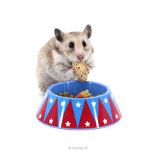Load image into Gallery viewer, HayPigs!® Junior Food Tamer™ - Mini Food Bowl - Pets Fayre