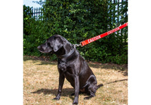 Load image into Gallery viewer, Ancol 40mm Awareness Lead CAUTION
