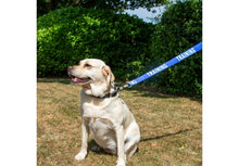 Load image into Gallery viewer, Ancol 40mm Awareness Lead TRAINING
