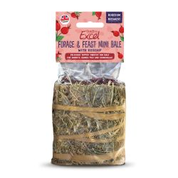 Burgess Excel Forage & Feast Mini Hay Bale Rosehip, 100g